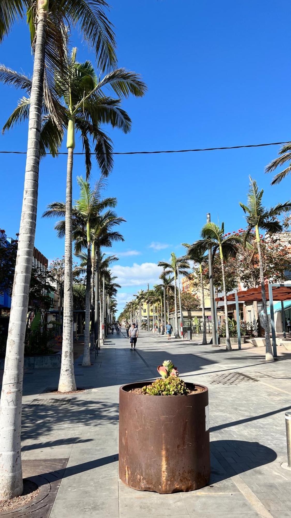 Mirame Canarias Vecindario  Kültér fotó