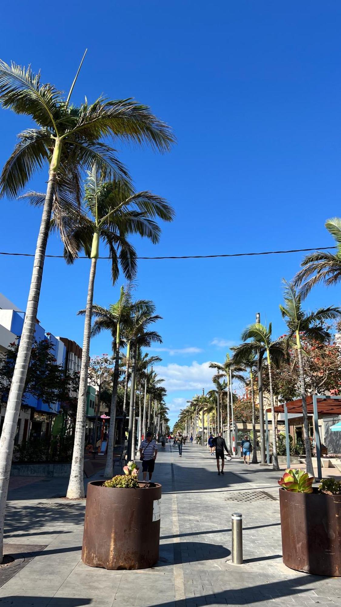 Mirame Canarias Vecindario  Kültér fotó